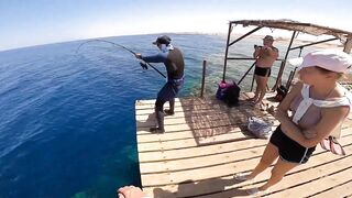 Рыбалка в Египте в море: коралловая бухта, пирс, трофейные каранксы