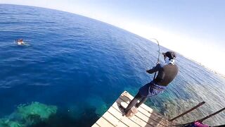 Рыбалка в Египте в море: коралловая бухта, пирс, трофейные каранксы
