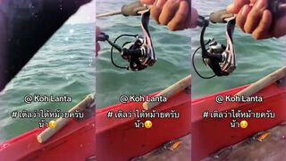 Ко Ланта ночной кальмар у берега это рабочая тема