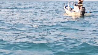 Ко Чанг - высадили на острове, береговая рыбалка весь день