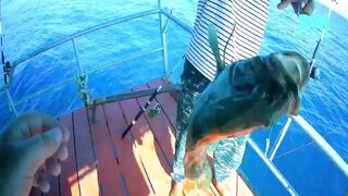 Ко Чанг в Таиланде морская рыбалка 2019 какие точки