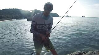 Ко Тао, Таиланд групперы с берега на отпуске чем брали