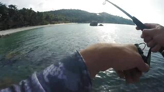 Ко Тао, Таиланд групперы с берега на отпуске чем брали