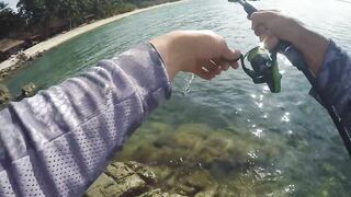 Ко Тао, Таиланд групперы с берега на отпуске чем брали