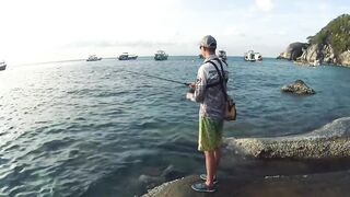 Ко Тао, Таиланд групперы с берега на отпуске чем брали