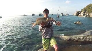 Ко Тао, Таиланд групперы с берега на отпуске чем брали