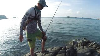 Ко Тао, Таиланд групперы с берега на отпуске чем брали