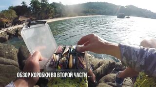 Ко Тао, Таиланд групперы с берега на отпуске чем брали