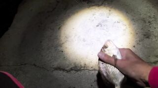 Весенняя береговая рыбалочки с рачком и тиролем (сочи)