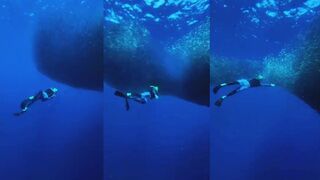 Панглао - сардины у берега и прижим к рифу