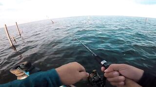 Манильская бухта - рабочие точки у пирсов