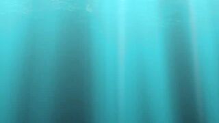 Субик-Бей - рыболовный чартер и офшор