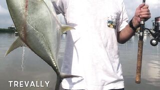 Субик-Бей - рыболовный чартер и офшор