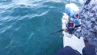 Субик-Бей - рыболовный чартер и офшор