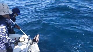 Субик-Бей - рыболовный чартер и офшор