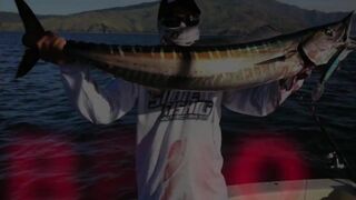 Субик-Бей - рыболовный чартер и офшор