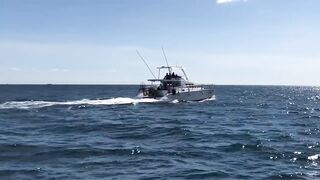 Субик-Бей - рыболовный чартер и офшор