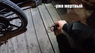 Герцлия, район Петуах рыбалка в Яффо и повседневность