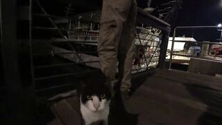 Герцлия, район Петуах рыбалка в Яффо и повседневность