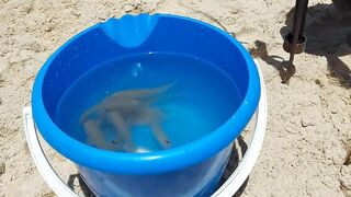 Ашдод, Израиль. Рыбалка с пляжа и кадры под водой