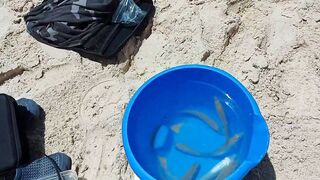 Ашдод, Израиль. Рыбалка с пляжа и кадры под водой