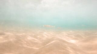 Ашдод, Израиль. Рыбалка с пляжа и кадры под водой