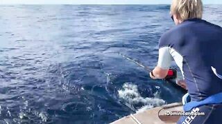 Кап Кана - дорадо и барракуды в улове