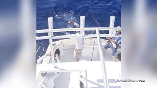 Кап Кана - дорадо и барракуды в улове