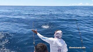 Кап Кана - дорадо и барракуды в улове