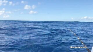 Кап Кана - дорадо и барракуды в улове