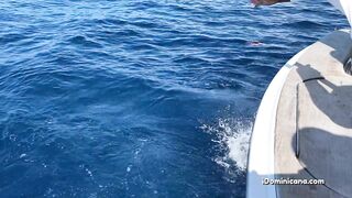 Кап Кана - дорадо и барракуды в улове