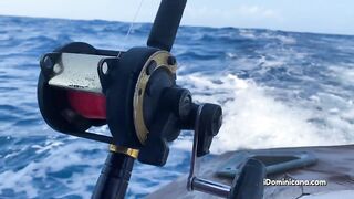 Кап Кана - дорадо и барракуды в улове