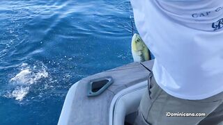 Кап Кана - дорадо и барракуды в улове