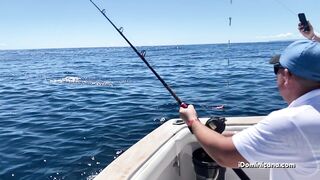 Кап Кана - дорадо и барракуды в улове