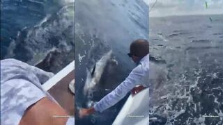 Кап Кана: парусник с катера и релиз