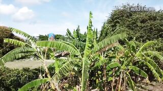 Куба, Гуардалавака: поездка и ночлег у Леонардо, 2020