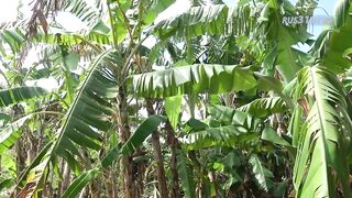 Куба, Гуардалавака: поездка и ночлег у Леонардо, 2020