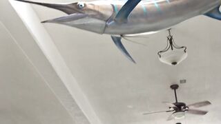 Кабо-Сан-Лукас, Мексика. Катера в аренду для рыбалки