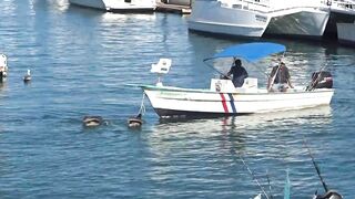 Кабо-Сан-Лукас, Мексика. Катера в аренду для рыбалки