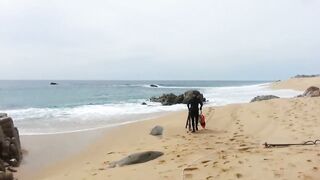 Кабо-Сан-Лукас Педрегал по рыбалке кто подскажет точки