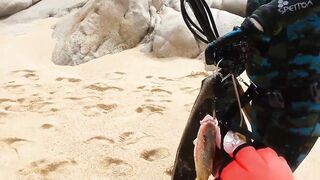 Кабо-Сан-Лукас Педрегал по рыбалке кто подскажет точки