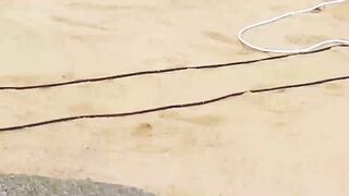 Кабо-Сан-Лукас Педрегал по рыбалке кто подскажет точки