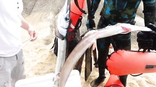 Кабо-Сан-Лукас Педрегал по рыбалке кто подскажет точки