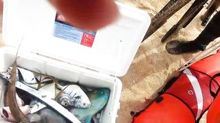 Кабо-Сан-Лукас Педрегал по рыбалке кто подскажет точки