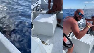 Playa del Carmen (Плая-дель-Кармен), Мексика парусник и иншор