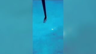 Isla Mujeres (Исла-Мухерес), Мексика подводная охота у рифа