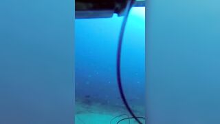 Isla Mujeres (Исла-Мухерес), Мексика подводная охота у рифа