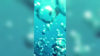 Isla Mujeres (Исла-Мухерес), Мексика подводная охота у рифа