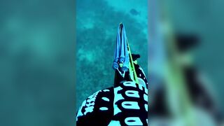 Isla Mujeres (Исла-Мухерес), Мексика подводная охота у рифа