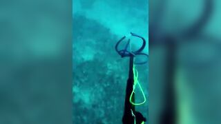 Isla Mujeres (Исла-Мухерес), Мексика подводная охота у рифа